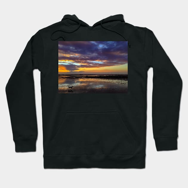 DOG ON THE SUNSET BEACH Hoodie by likbatonboot